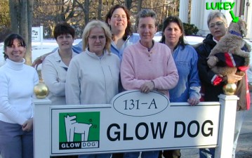 Glow Dog - Ropa reflectante para perros